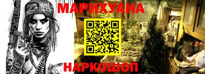 шишки Севастополь