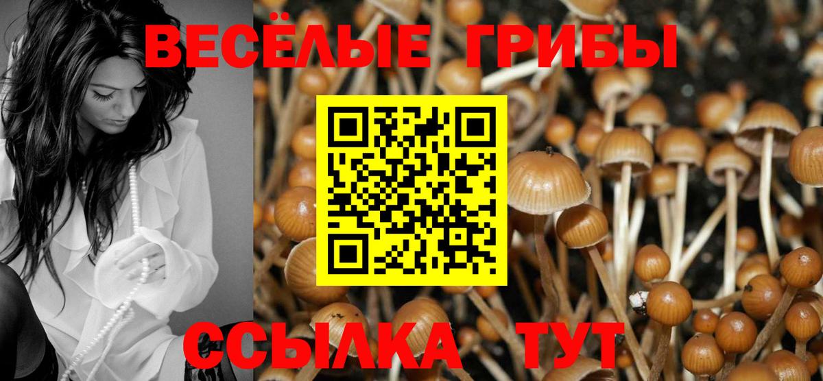 Галлюциногенные грибы ЛСД  Вход с VPN  наркошоп  Полысаево 